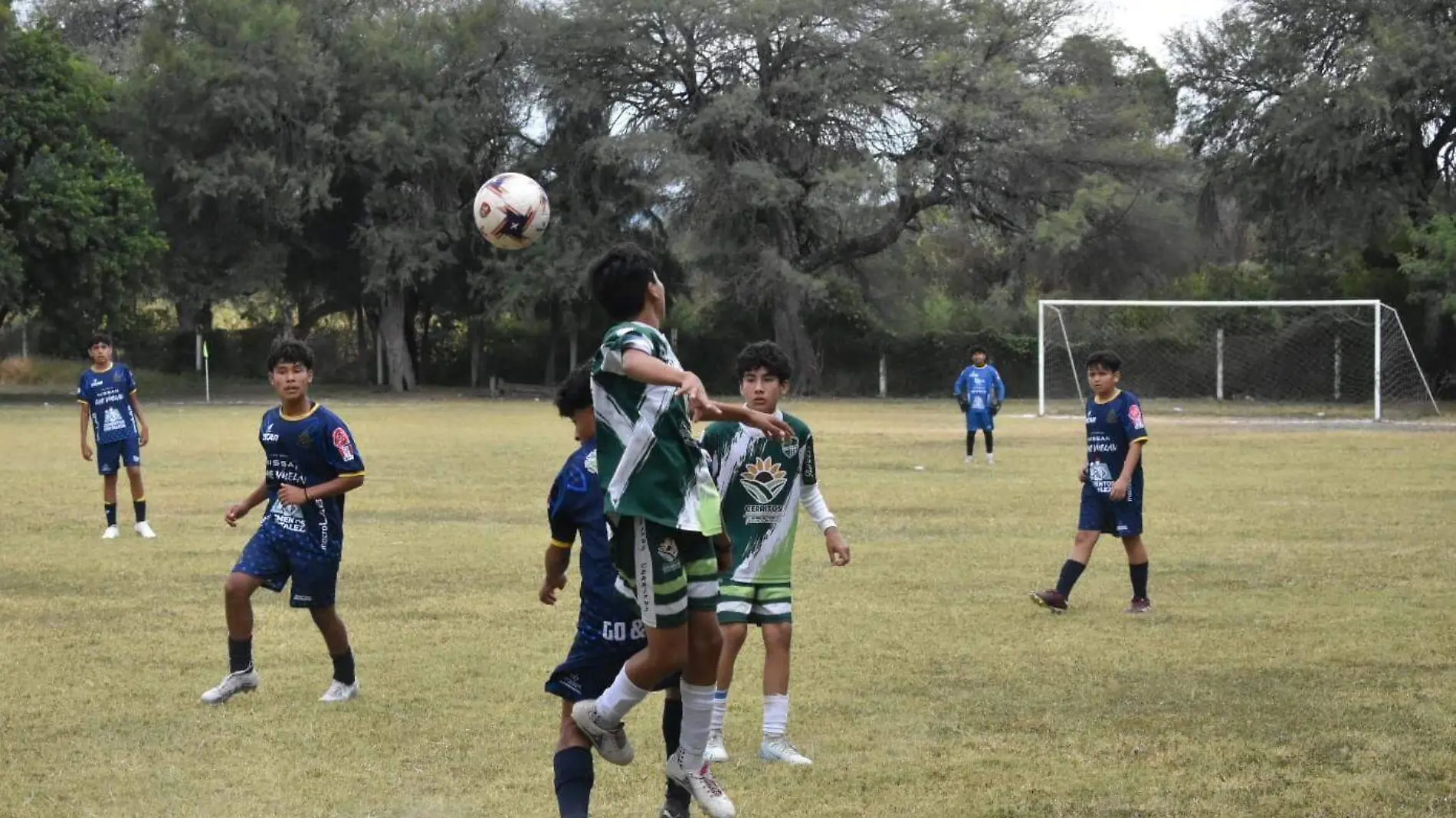 Academia Potosinos FC  (3)